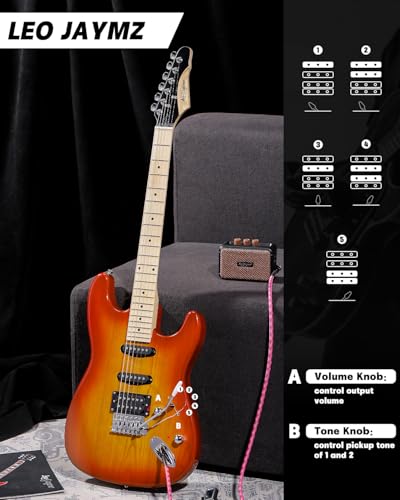 Leo Jaymz 39 Full Size ST Style Electric Guitar Starter Kit with SSH Pickup, 5W Portable Amp, Tuner, Gig Bag, Strap & Accessories (Violet Ocean)