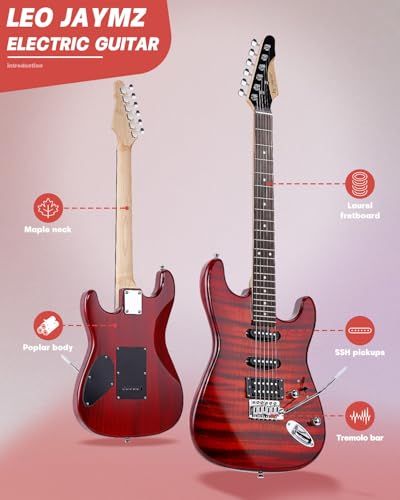 Leo Jaymz 39 Full Size ST Style Electric Guitar Starter Kit with SSH Pickup, 5W Portable Amp, Tuner, Gig Bag, Strap & Accessories (Violet Ocean)