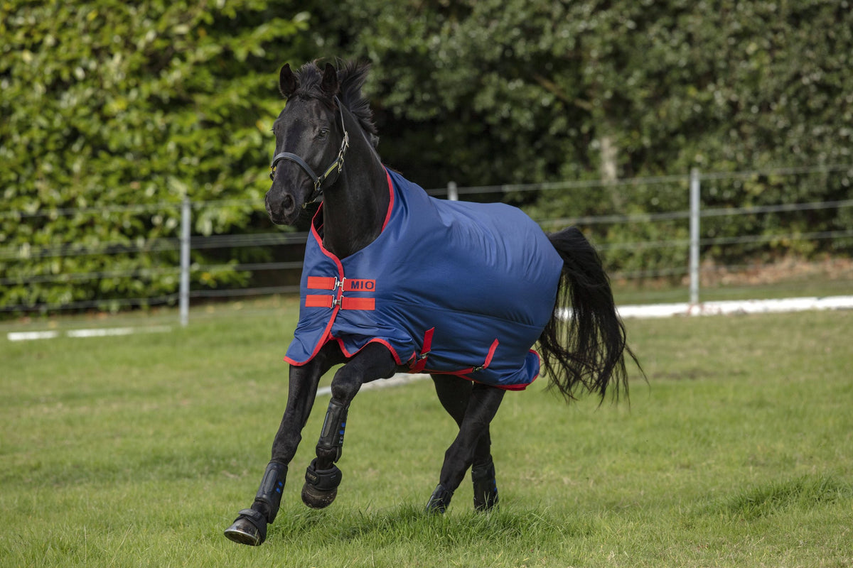 Mio Turnout Sheet Lite 81 Dark Blue/Aqua