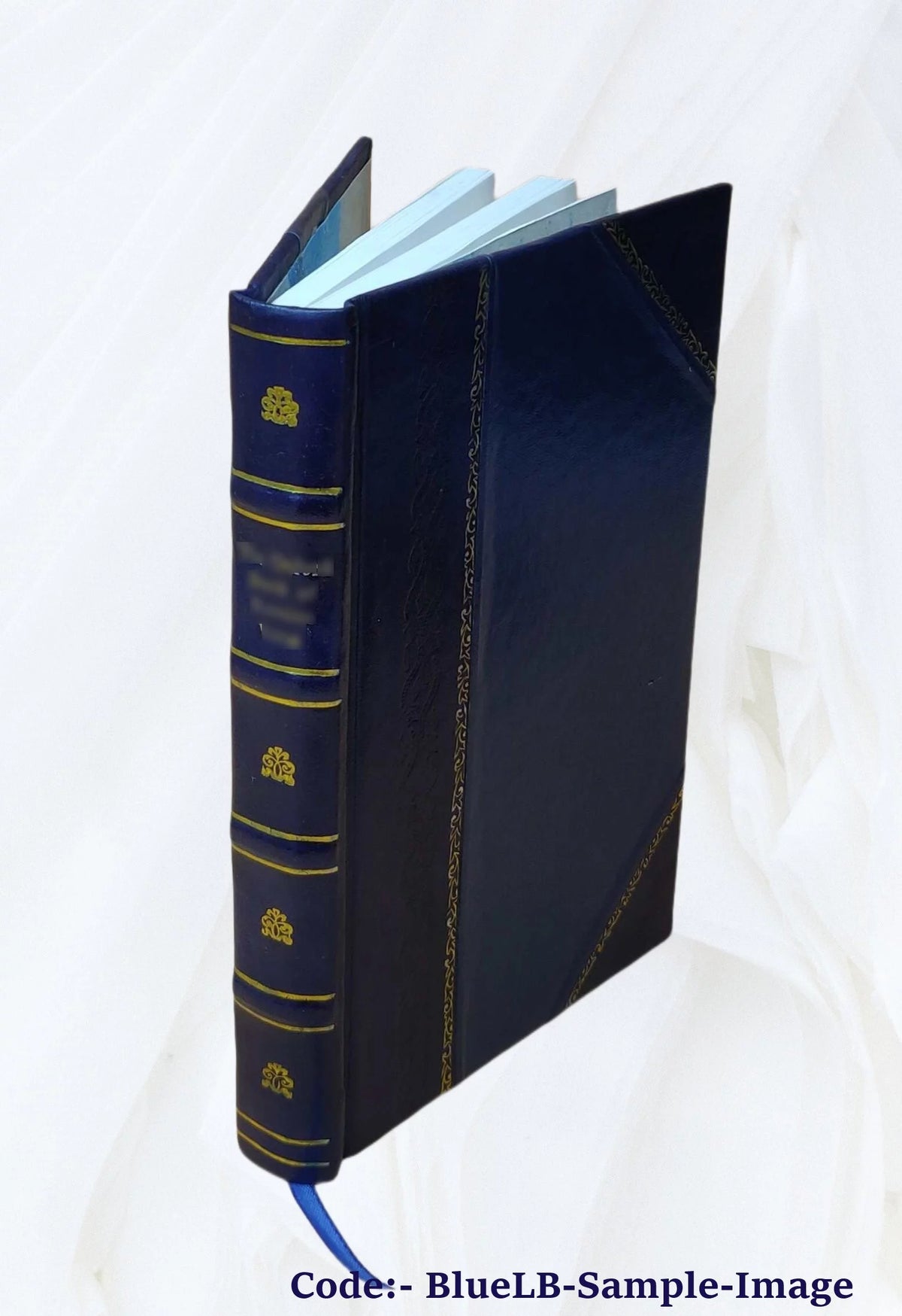 Good old times; or, Grandfather's struggles for a homestead. 1878 [Leather Bound]