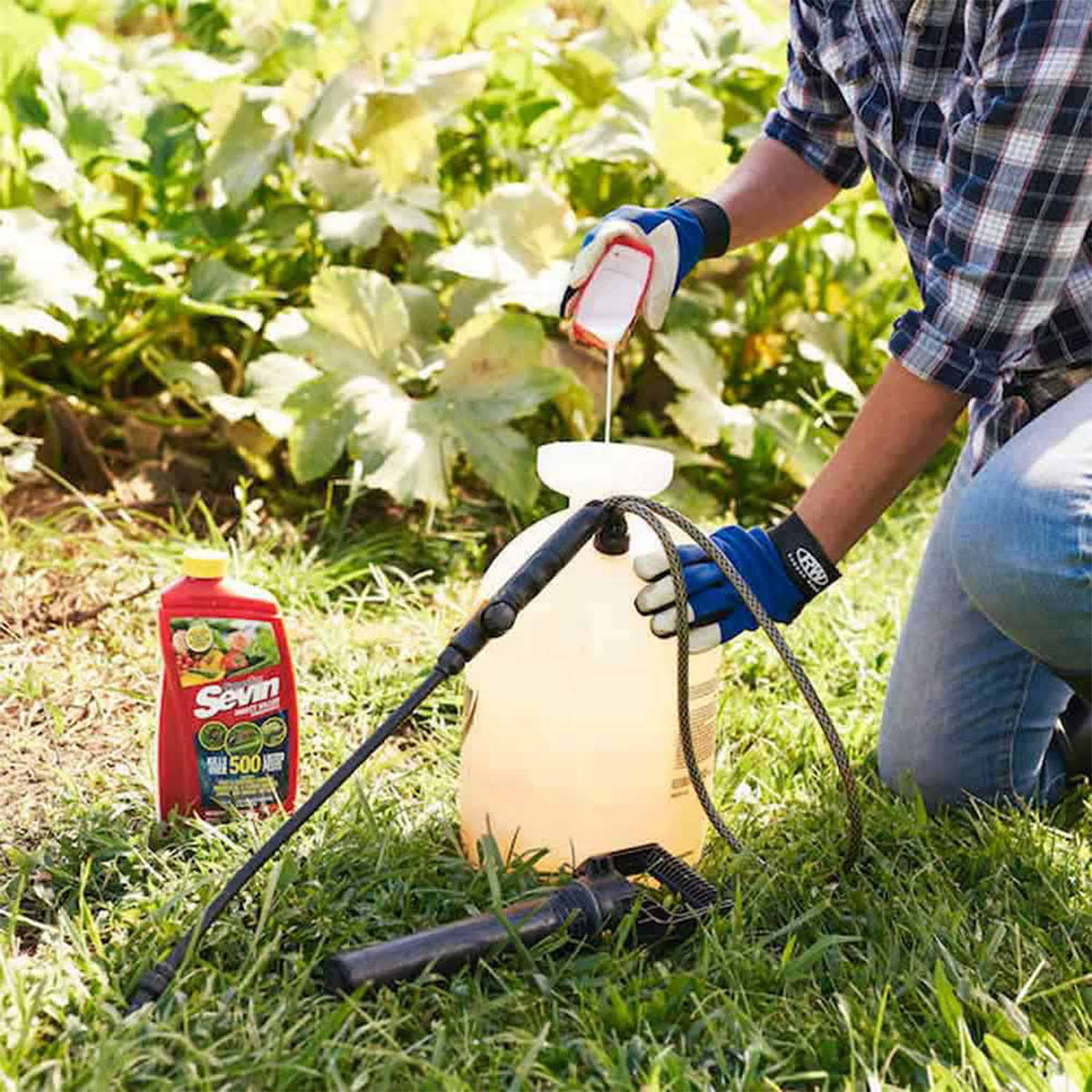 Sevin Concentrate Insect Killer - 1 Gallon
