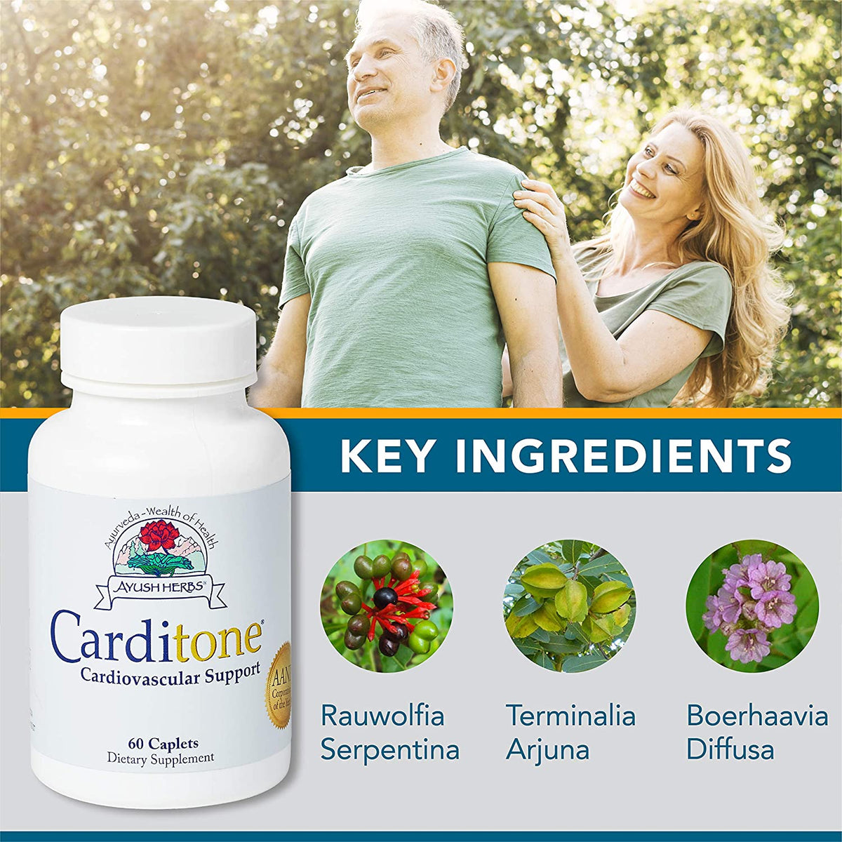 Ayush Herbs Carditone, Unbeatable Blood Pressure and Cardiovascular Support Herbal Supplement, 60 Tablets