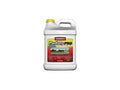 PBI Gordon&s Pasture Pro Plus Weed u0026 Feed - 2.5 gal jug