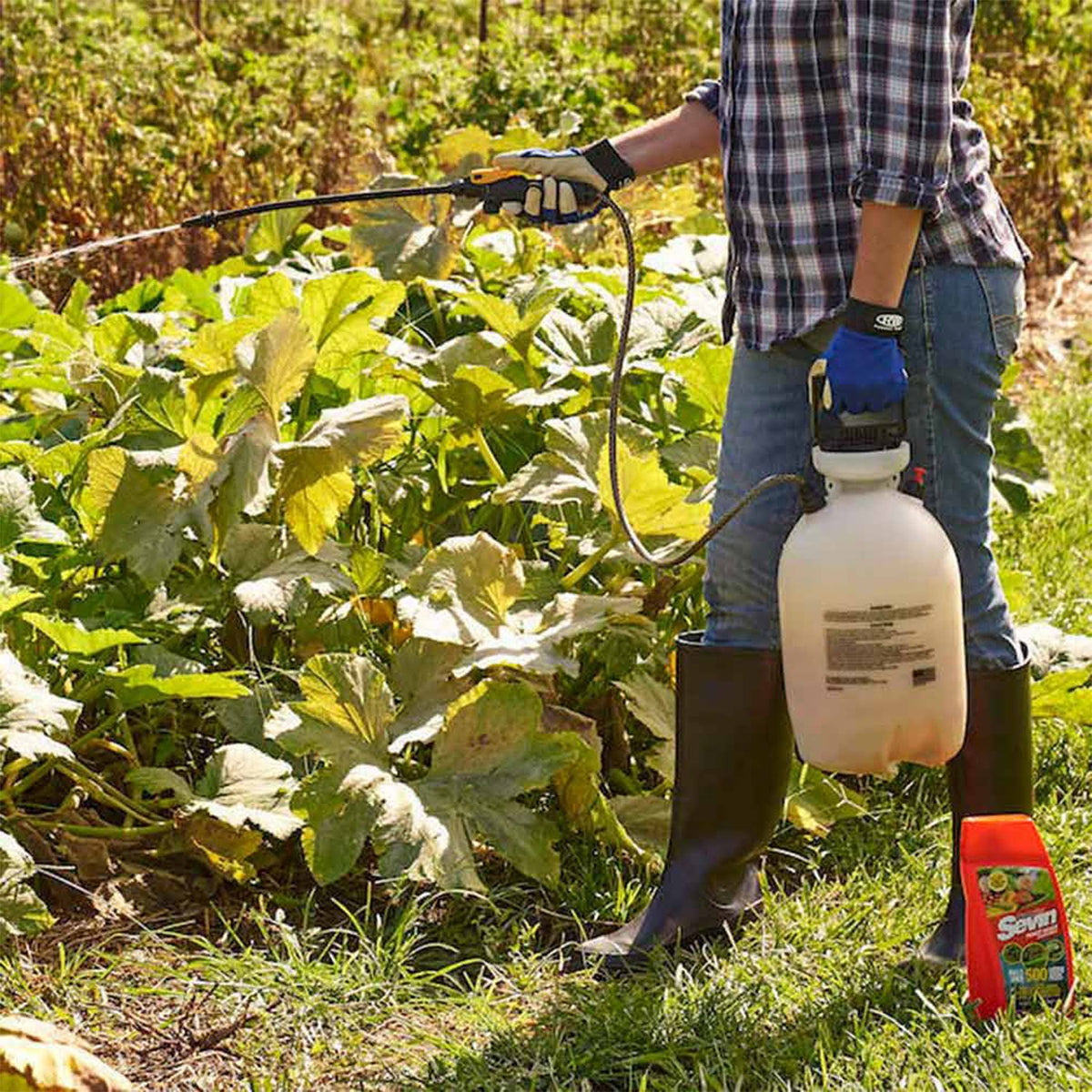 Sevin Concentrate Insect Killer - 1 Gallon