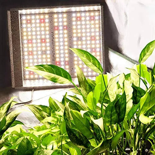 Mars Hydro TS 600W LED Grow Light 2x2 ft Sunlike Full Spectrum LED Grow Lamp