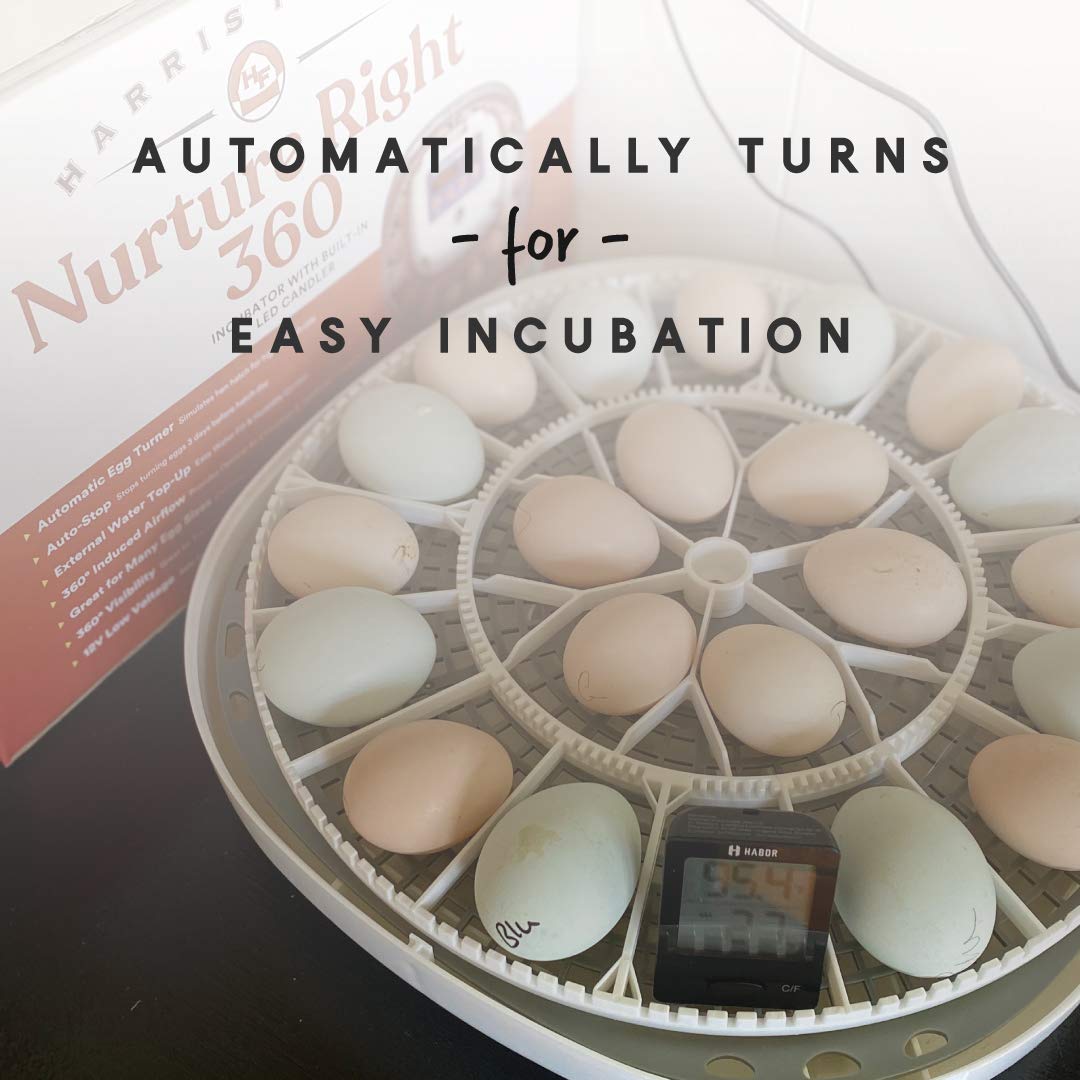 Manna Pro Harris Farms Nurture Right Incubator | Egg Incubator for Hatching Chicks | 360 Degree View